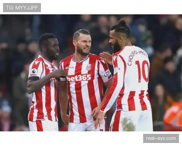 斯托克城成功保级，稳健表现开启英超新篇章