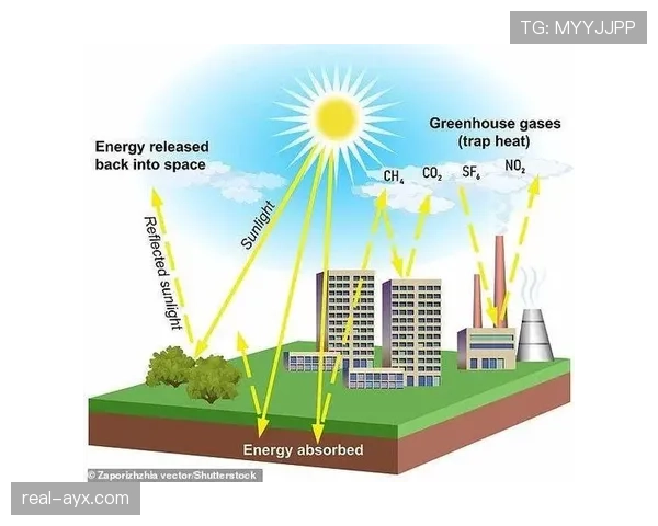 科学家警示：未来十年成应对气候变化关键转折点