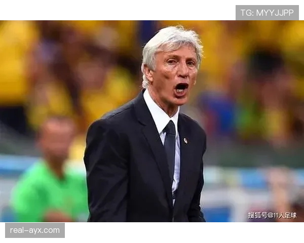 拉菲尼亚的数据含金量与战术角色如何体现 拉菲尼亚的数据含金量与战术角色如何体现